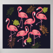Flamingo's set, tropische vogel . poster (Voorkant)