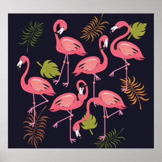 Flamingo's set, tropische vogel . poster