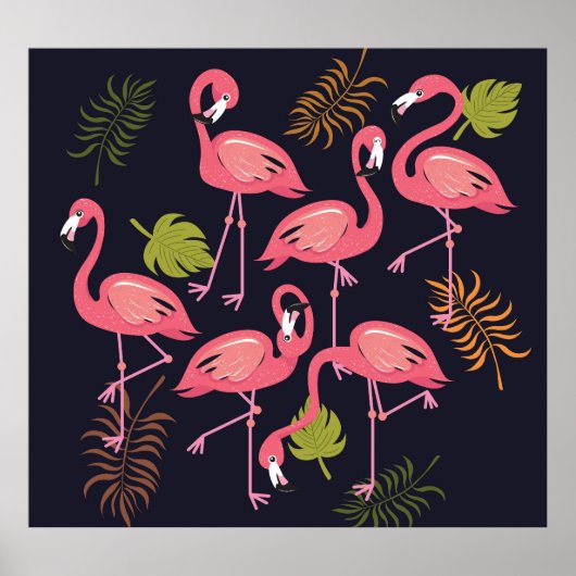 Flamingo's set, tropische vogel . poster (Voorkant)