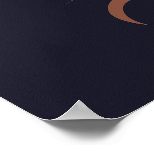 Flamingo's set, tropische vogel . poster (Hoek)