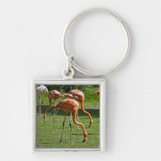 Flamingo's Sleutelhanger (Voorkant)