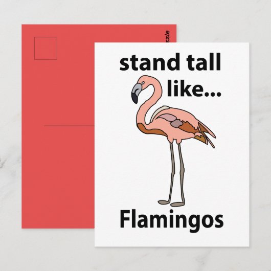 Flamingo's Staan Groot Als Flamingo's Flamingo Briefkaart (Voorkant / Achterkant)