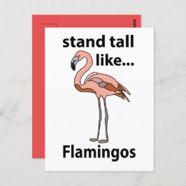 Flamingo's staan hoog als flamingo's briefkaart