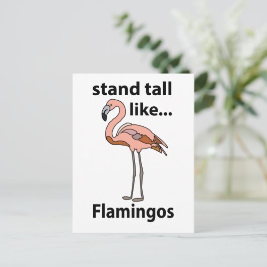 Flamingo's staan hoog als flamingo's briefkaart (Staand voorkant)