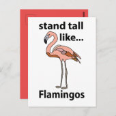 Flamingo's staan hoog als flamingo's briefkaart (Voorkant / Achterkant)