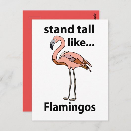 Flamingo's staan hoog als flamingo's briefkaart (Voorkant / Achterkant)