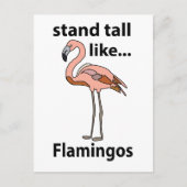 Flamingo's staan hoog als flamingo's briefkaart (Voorkant)