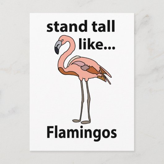 Flamingo's staan hoog als flamingo's briefkaart (Voorkant)