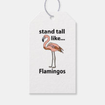 Flamingo's staan hoog als flamingo's