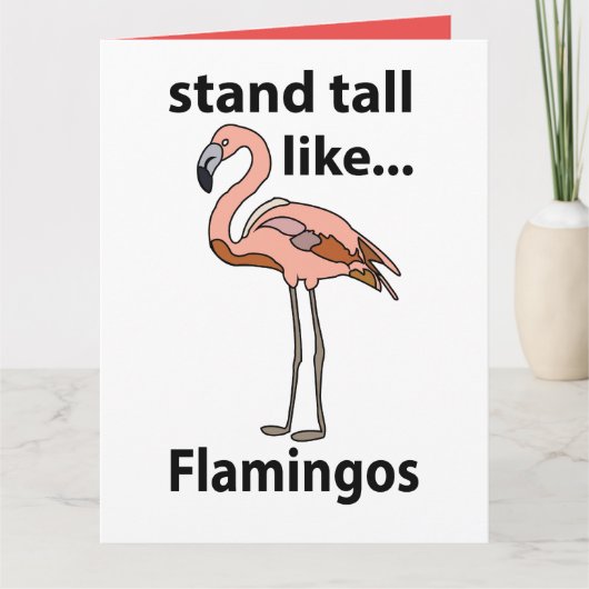 Flamingo's staan hoog als flamingo's kaart (Voorkant)