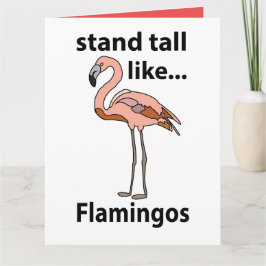 Flamingo's staan hoog als flamingo's kaart