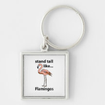 Flamingo's staan hoog als flamingo's
