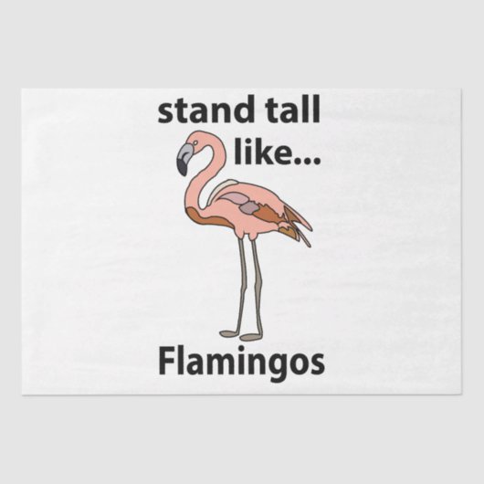 Flamingo's staan hoog als flamingo's tissuepapier (Voorkant)