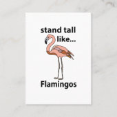 Flamingo's staan hoog als flamingo's visitekaartje (Voorkant)