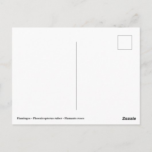 Flamingos tijdens de vlucht briefkaart (Achterkant)