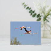 Flamingos tijdens de vlucht feestdagenkaart (Staand voorkant)