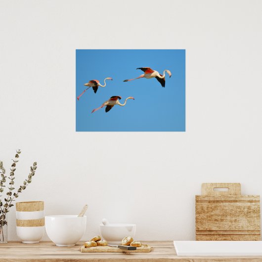 Flamingos tijdens de vlucht poster (Keuken)