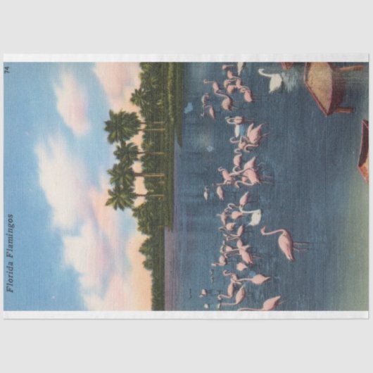  flamingo's tissuepapier (Voorkant)