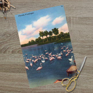 flamingo's tissuepapier