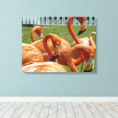 Flamingo's van dichtbij canvasprint canvas afdruk (Insitu (Houten vloer))
