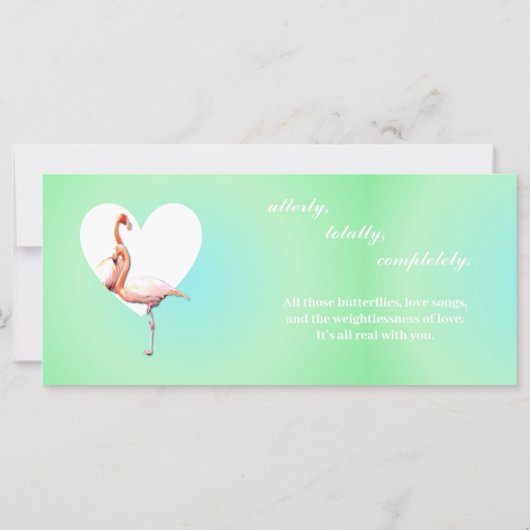 Flamingo's verliefd op minty groene achtergrond (Achterkant)