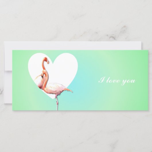 Flamingo's verliefd op minty groene achtergrond (Voorkant)