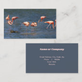 Flamingos Visitekaartje (Voorkant / Achterkant)