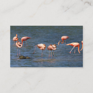 Flamingos Visitekaartje