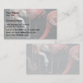 Flamingos Visitekaartje (Voorkant / Achterkant)