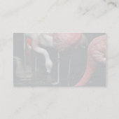 Flamingos Visitekaartje (Achterkant)