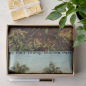 flamingo's voeden hun jonge Miami Florida Tissuepapier (Geschenk)