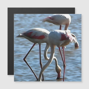 Flamingos voedingstijd Acrylverf
