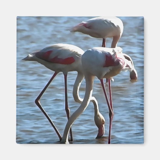 Flamingos voedingstijd Acrylverf Magneet (Voorkant)