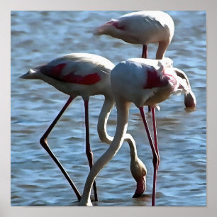 Flamingos voedingstijd Acrylverf Poster