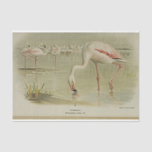 Flamingo's Vogels Ephemera Decoupage Tissuepapier (Voorkant)