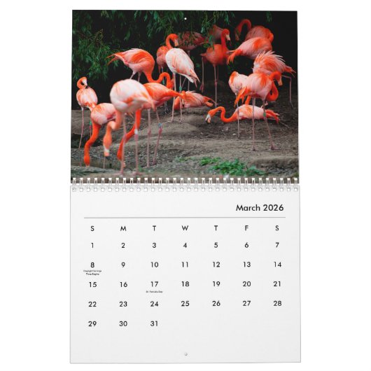 Flamingos Wall Agenda Kalender (Mar 2026)