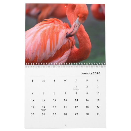 Flamingos Wall Agenda Kalender (Jan 2026)