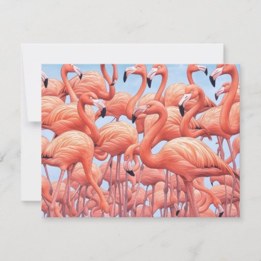 Flamingo's, Wenskaart (Voorkant)
