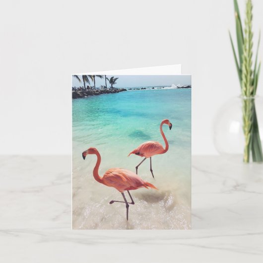 Flamingos Wenskaart Kaart (Voorkant)
