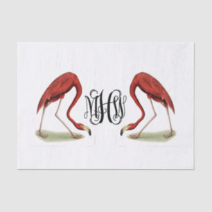 Flamingo's Zwarte Wingeschrift Monogram DIY BG Tissuepapier