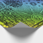 Flammarion Heaven and Earth Engraving Artwork Cadeaupapier (Hoek)