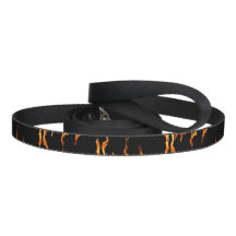 Flammen Flamme Flame Feuer fire leash Hundeleine