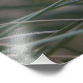 Flammulated Owl Chick Photography Foto Afdruk (Hoek)