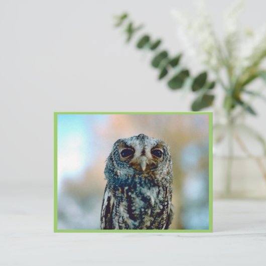 Flammulus Briefkaart (Staand voorkant)