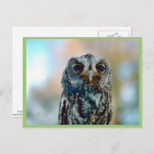 Flammulus Briefkaart (Voorkant / Achterkant)