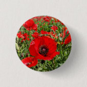 Flanders Poppy Button (Voorkant)