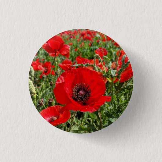 Flanders Poppy Button (Voorkant)