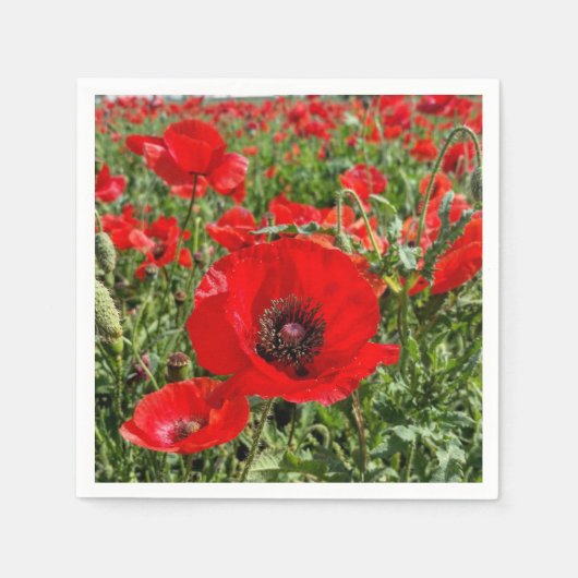 Flanders Poppy Napkins Servetten (Voorkant)