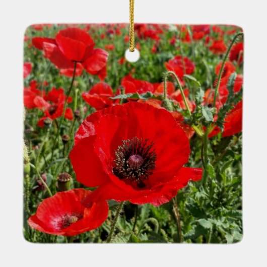 Flanders Poppy Ornament (Achterkant)