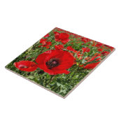 Flanders Poppy Tegeltje (Zijkant)